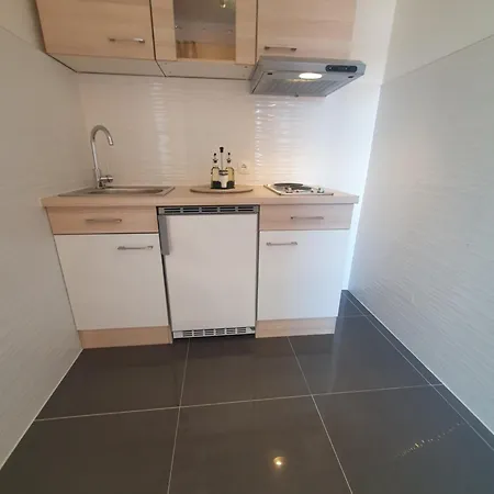 Apartment Zelic *