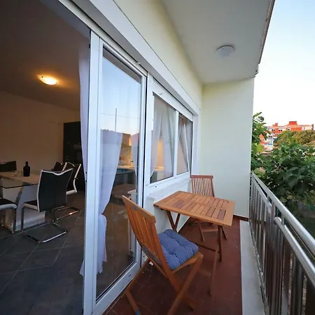 Apartment Zelic
