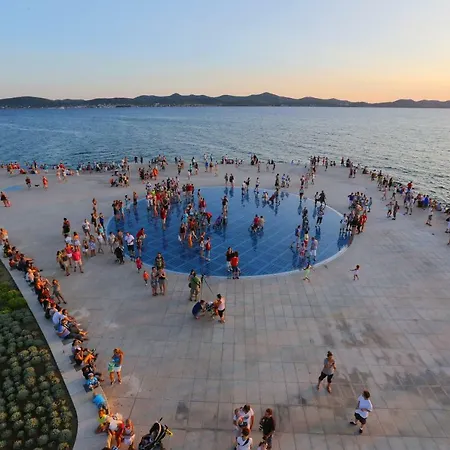 Zelic Zadar